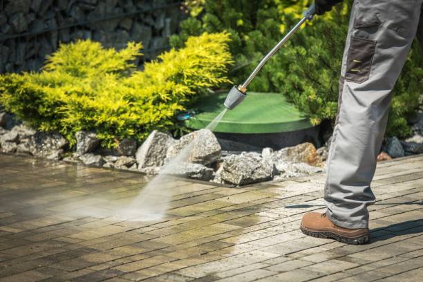 Best Animal Enclosure Cleaning  in St Helena, CA
