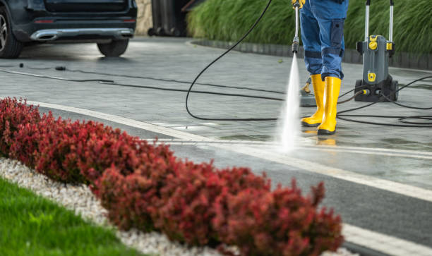 Best Residential Exterior Washing  in St Helena, CA